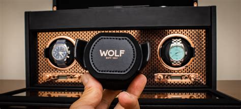 rolex wolf winders reviews